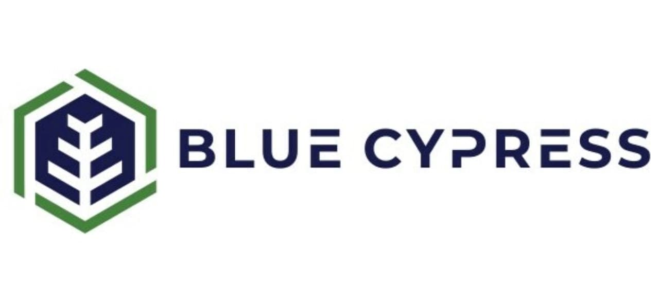 Blue Cypress